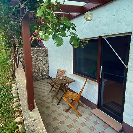 Gemuetliche Wohnung Mit Neckarblick 에베르바흐 외부 사진